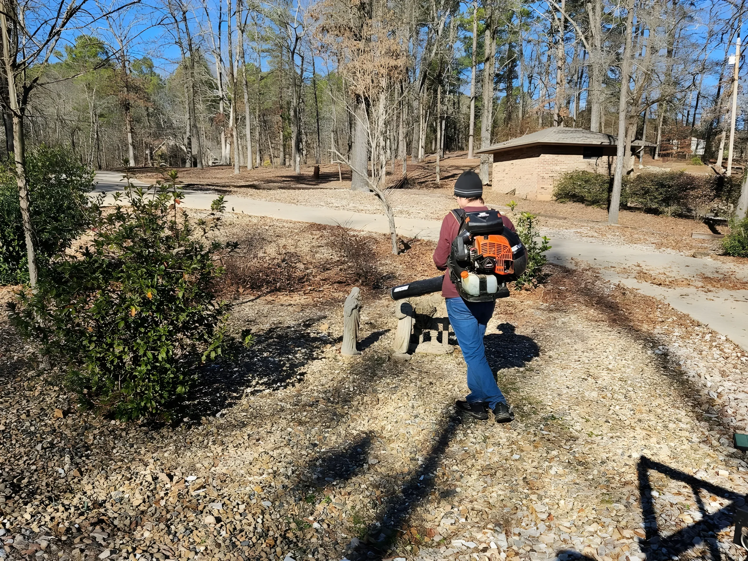 Yard Cleanup in Hot Springs, AR