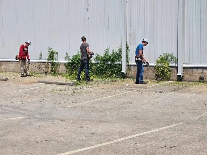 Workers on site weed cleanup