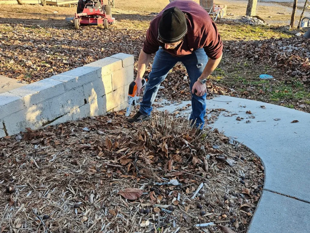 Worker trimming hedge branches