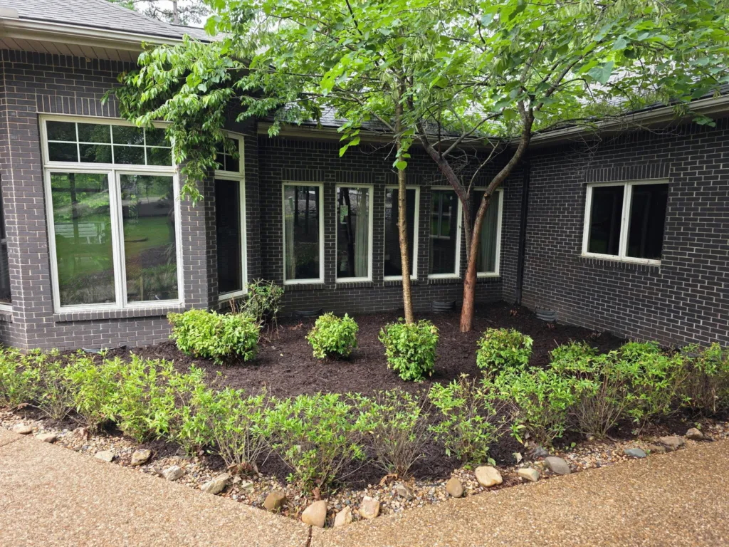 Beautifully trimmed and maintained hedges and landscape in front of house