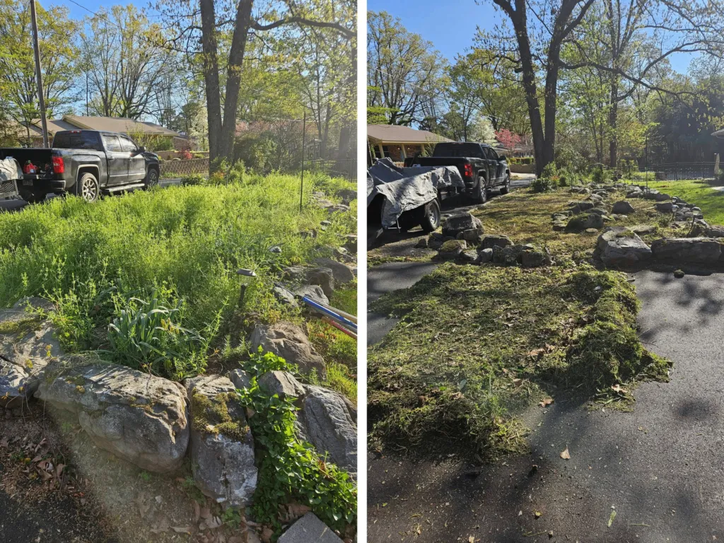 Before / after overgrowth removal