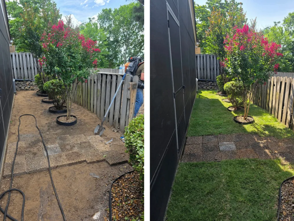 Before / after landscaping project
