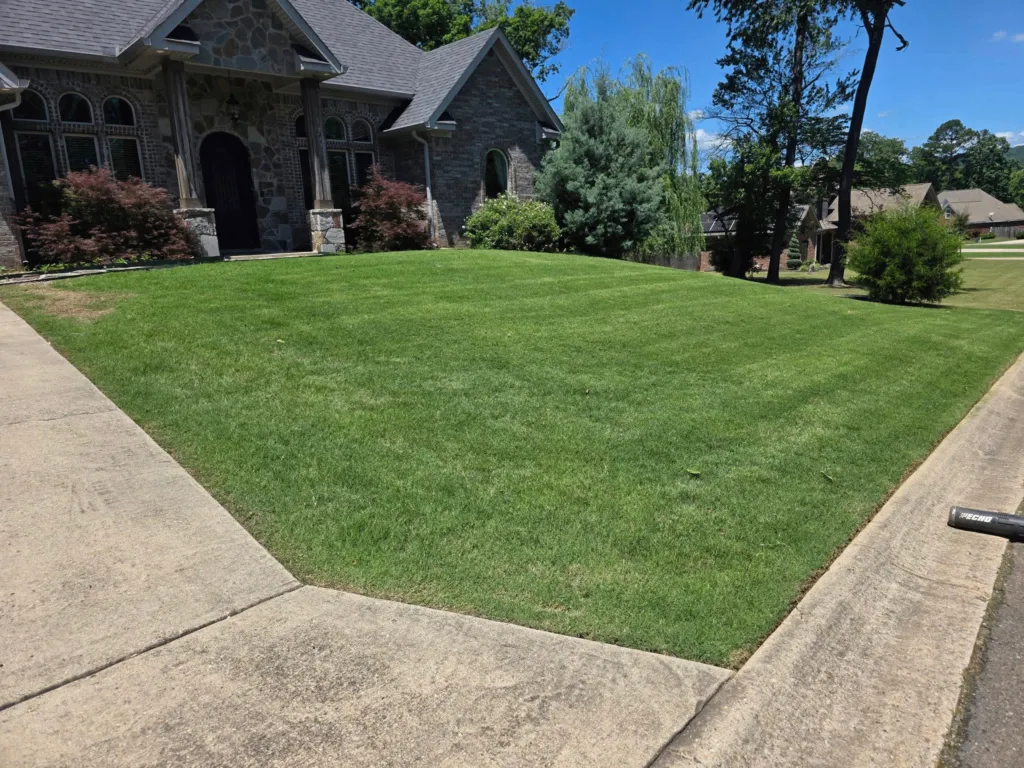 Fully mowed and hedged lawn in front of house